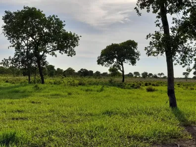 Fazenda/Sítio à venda, 5000000m² no Centro, Coxim