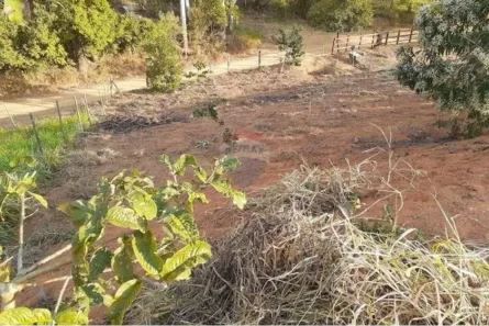 Lote/Terreno à venda, 836m² no , Coronel Pacheco