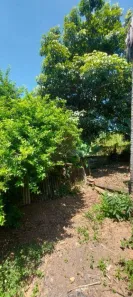 Fazenda/Sítio com 4 Quartos à venda, 274m² no Traviú, Jundiaí