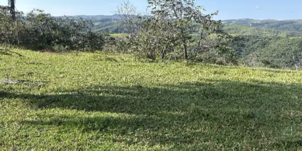 Fazenda/Sítio com 1 Quarto à venda, 1544700m² no , Tiros