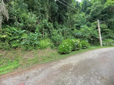 Lote/Terreno à venda, 3500m² no , Monteiro Lobato