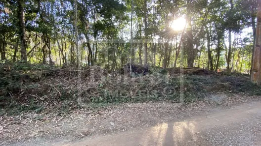 Lote/Terreno à venda, 556m² no Fazenda Bela Vista, Nova Friburgo