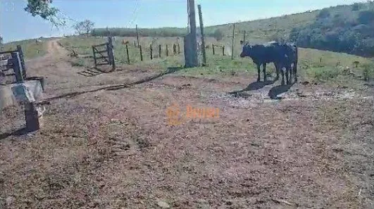 Fazenda/Sítio à venda, 1621400m² no Área Rural de Itapetininga, Itapetininga