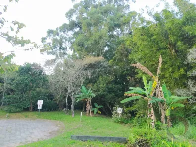 Lote/Terreno à venda, 819m² no Rio Tavares, Florianópolis