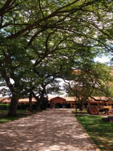 Lote/Terreno à venda, 830m² no , Jaguariúna