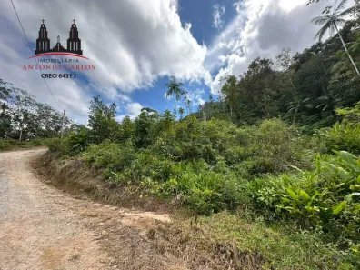 Fazenda/Sítio à venda, 26047m² no Santa Barbara, Antônio Carlos