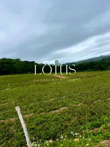 Lote/Terreno à venda, 500m² no Centro, Itapevi