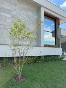 Casa com 3 Quartos à venda, 160m² no São Sebastião, Palhoça