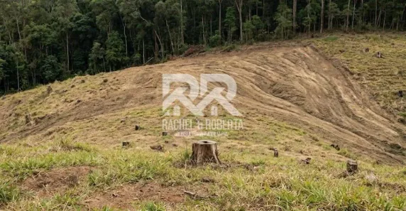 Lote/Terreno à venda, 3480m² no Carlos Guinle, Teresópolis