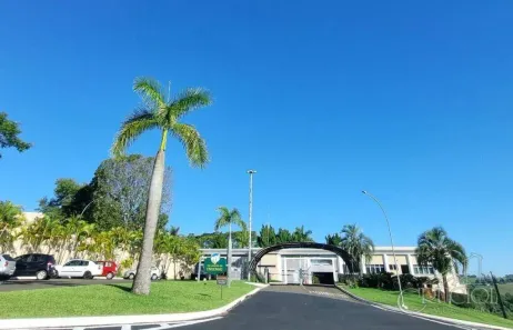 Casa de Condomínio com 4 Quartos para alugar, 310m² no Jardim Tarobá, Cambé