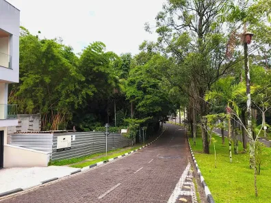 Lote/Terreno à venda, 287m² no Tucuruvi, São Paulo