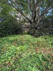 Lote/Terreno à venda, 1310m² no Golfe, Teresópolis