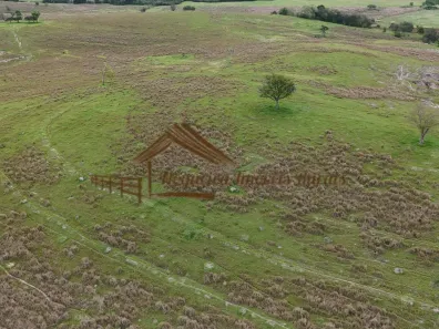 Fazenda/Sítio à venda, 411400m² no Área Rural de Porangaba, Porangaba