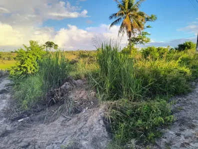 Lote/Terreno à venda, 900m² no Porto de Galinhas, Ipojuca