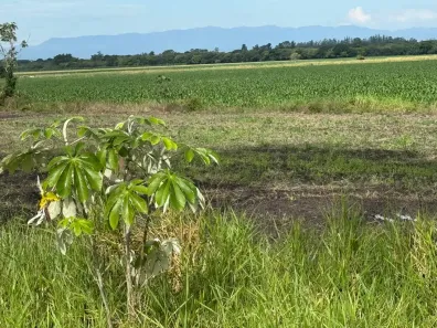 Fazenda/Sítio com 1 Quarto à venda, 2589m² no Solar da Mantiqueira, Tremembé