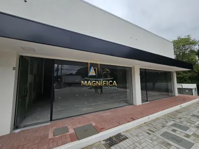 Ponto Comercial com 1 Quarto para alugar, 238m² no Santo Inácio, Curitiba