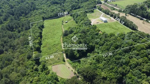 Imóvel Comercial à venda, 50000m² no Flores da Cunha, Flores da Cunha