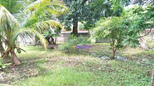 Lote/Terreno à venda, 966m² no Piratininga, Niterói