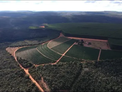Fazenda/Sítio à venda, 7000000m² no , Capelinha