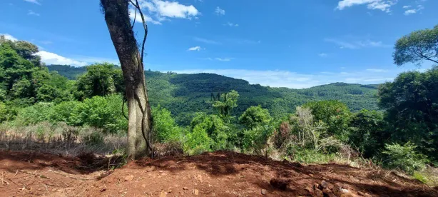 Lote/Terreno à venda, 20000m² no Linha Olinda, Nova Petrópolis