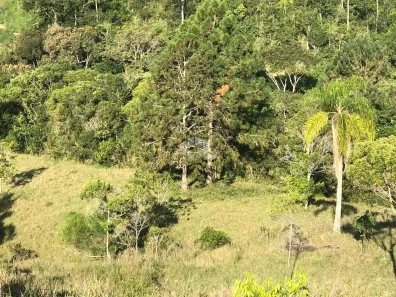 Lote/Terreno à venda, 345000m² no Centro, Imaruí