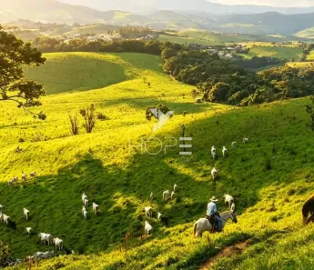 Fazenda/Sítio com 1 Quarto à venda, 15619648m² no , Caxambu