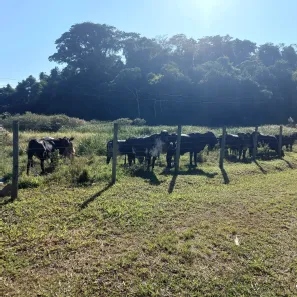 Fazenda/Sítio com 2 Quartos à venda, 100000m² no , Cachoeiras de Macacu