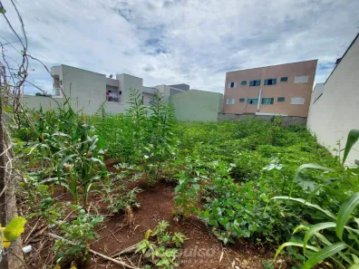 Lote/Terreno à venda, 312m² no Jardim Terramérica III, Americana