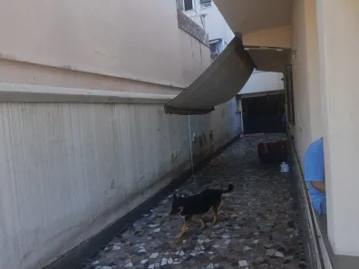 Casa com 6 Quartos à venda, 196m² no Icaraí, Niterói