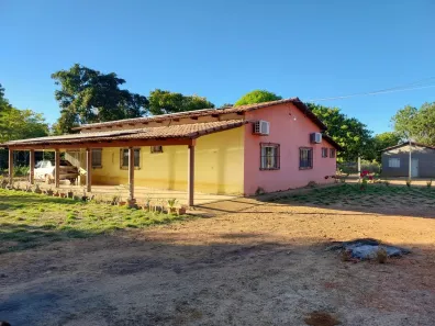 Fazenda/Sítio com 4 Quartos à venda, 330000m² no Setor Central, Brejinho de Nazaré