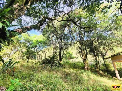 Fazenda/Sítio com 1 Quarto à venda, 5000m² no , Nova Petrópolis
