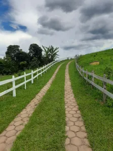 Fazenda/Sítio com 3 Quartos à venda, 30000m² no , Olímpio Noronha