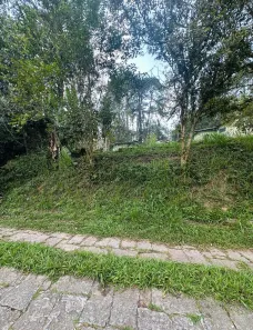 Lote/Terreno à venda, 253m² no Colônia, Ribeirão Pires