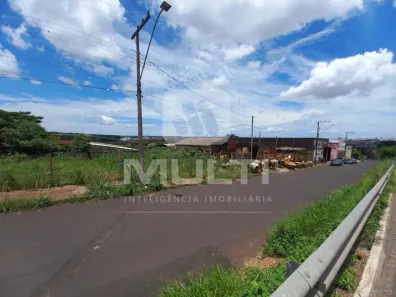 Lote/Terreno com 1 Quarto à venda, 369m² no Dona Zulmira, Uberlândia