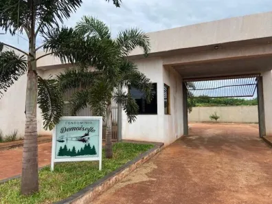 Lote/Terreno à venda, 250m² no Centro, Ribeirão Preto