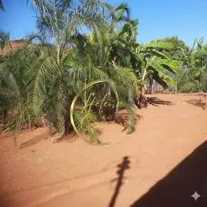 Lote/Terreno à venda, 375m² no Jardim Mont Serrat, Aparecida de Goiânia