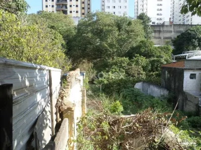 Lote/Terreno para alugar, 460m² no Água Fria, São Paulo