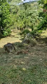 Fazenda/Sítio com 1 Quarto à venda, 900m² no Canjica (Terra Preta), Mairiporã