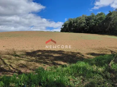 Fazenda/Sítio com 1 Quarto à venda, 18000m² no Área Rural de São José dos Pinhais, São José dos Pinhais