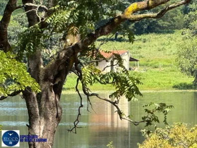 Fazenda/Sítio com 4 Quartos à venda, 2475m² no Centro, Alto Paraíso de Goiás