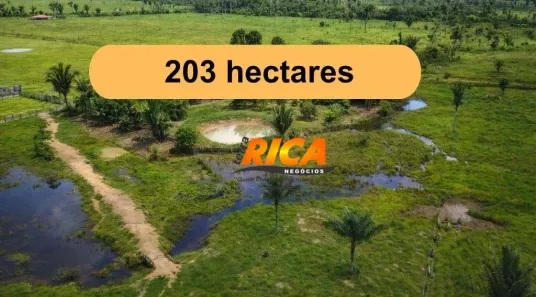 Fazenda/Sítio com 2 Quartos à venda, 2030000m² no Área Rural, Canutama