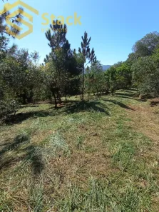 Lote/Terreno à venda, 20000m² no Jardim Maristela, Atibaia