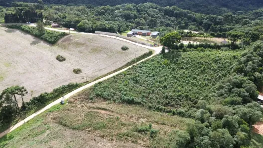 Fazenda/Sítio à venda, 5000m² no Vila Santa Terezinha, Almirante Tamandaré