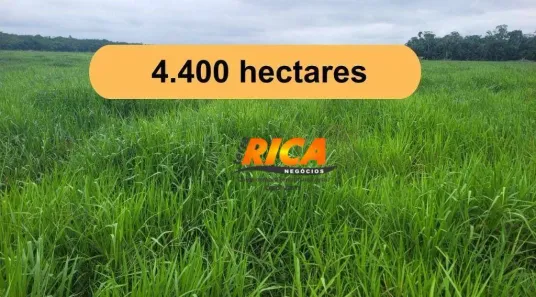 Fazenda/Sítio à venda, 44000000m² no Área Rural de Porto Velho, Porto Velho