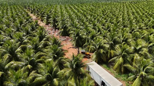 Fazenda/Sítio com 4 Quartos à venda, 400000m² no , Touros