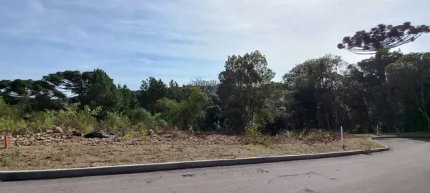 Lote/Terreno à venda, 450m² no Dutra, Gramado