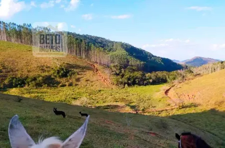 Fazenda/Sítio à venda, 6195200m² no Centro, Cambuci