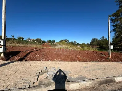 Lote/Terreno à venda, 252m² no Jardim Pedro Morelli, Ibiporã