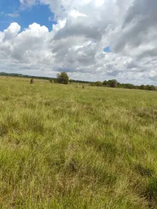 Fazenda/Sítio à venda, 7986000m² no Bataguassu, Bataguassu