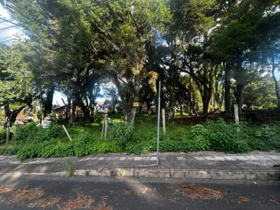 Lote/Terreno à venda, 1084m² no Vila Maggi, Canela